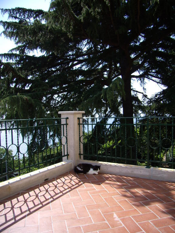 Le 5 Muse Bed & Breakfast ตรีเอสเต ภายนอก รูปภาพ